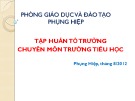 Bài giảng Tập huấn tổ trưởng chuyên môn trường tiểu học