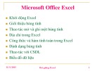 Bài giảng Microsoft Office Excel