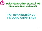 Bài giảng Tập huấn nghiệp vụ Tín dụng chính sách