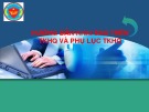 Bài giảng Hướng dẫn khai báo trên TKHQ và phụ lục TKHQ