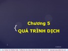 Chương 5: Quá trình dịch - Gv. Hoàng Thị Phương Trang