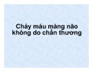 Bài giảng Chảy máu màng não không do chấn thương