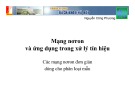 Bài giảng Mạng nơron và ứng dụng trong xử lý tín hiệu: Các mạng nơron đơn giản dùng cho phân loại mẫu - Nguyễn Công Phương