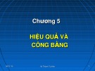 Bài giảng Chương 5: Hiệu quả và công bằng - Vũ Thành Tự Anh