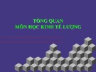 Bài giảng môn Kinh tế lượng (272tr)