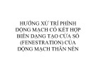 Bài giảng Hướng xử trí phình động mạch có kết hợp biến dạng tạo cửa sổ (fenestration) của động mạch thân nền