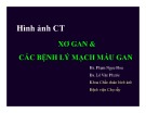 Bài giảng Hình ảnh CT Xơ gan và bệnh lý mạch máu gan - BS. Phham Ngọc Hoa, BS. Lê Văn Phước