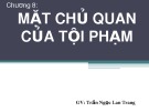 Bài giảng Luật Hình sự: Chương 8 - Trần Ngọc Lan Trang