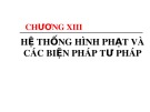 Bài giảng Chương 13: Hệ thống hình phạt và các biện pháp tư pháp