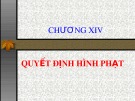 Bài giảng Chương 14: Quyết định hình phạt