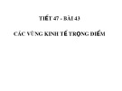 Bài giảng Bài 47: Các vùng kinh tế trọng điểm