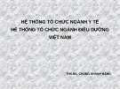 Bài giảng Hệ thống tổ chức ngành y tế hệ thống tổ chức ngành điều dưỡng Việt Nam - ThS.BS Chung Khánh Bằng