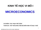 Bài giảng Kinh tế học vi mô I: Microeconomics - ThS. Phan Thế Công