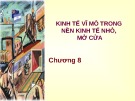 Bài giảng Chương 8: Kinh tế vĩ mô trong nền kinh tế nhỏ, mở cửa