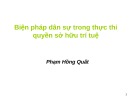 Bài giảng Biện pháp dân sự trong thực thi quyền sở hữu trí tuệ - Phạm Hồng Quất