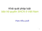 Bài giảng Khái quát pháp luật bảo hộ quyền SHCN ở Việt Nam - Phạm Hồng Quất