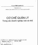 Các doanh nghiệp vừa và nhỏ - Cơ chế quản lý: Phần 1