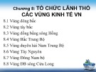 Bài giảng Địa lý kinh tế: Chương 8 - Hoàng Thu Hương