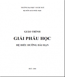 Giáo trình Giải phẫu học: Phần 2