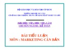 Bài tiểu luận: Vai trò của marketing trong việc ổn định thương hiệu kem đánh răng p/s của unilever tại thị trường Việt Nam