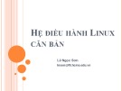 Bài giảng Hệ điều hành Linux căn bản: Chương 0 - Lê Ngọc Sơn