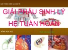 Bài thuyết trình Giải phẫu sinh lý hệ tuần hoàn