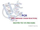 Bài giảng PCR Nguyên tắc và ứng dụng - TS. BS. Đỗ Thị Thanh Thủy