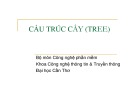 Bài giảng Cấu trúc cây (Tree)