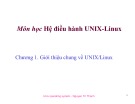 Bài giảng Hệ điều hành UNIX-Linux: Chương 1 - Nguyễn Trí Thành