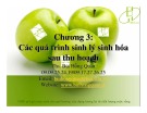 Bài giảng Công nghệ sau thu hoạch: Chương 3 - ThS. Bùi Hồng Quân