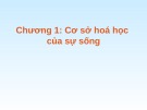 Bài giảng Sinh học đại cương: Chương 1 - Nguyễn Thị Diệu Hạnh