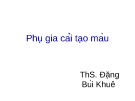 Bài giảng Phụ gia thực phẩm: Phụ gia cải tạo màu - ThS. Đặng Bùi Khuê