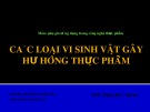 Bài giảng Phụ gia thực phẩm: Các loại vi sinh vật gây hư hỏng thực phẩm - ThS. Đặng Bùi Khuê