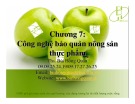 Bài giảng Công nghệ sau thu hoạch: Chương 7 - ThS. Bùi Hồng Quân