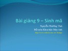 Bài giảng Chương trình dịch: Bài giảng 9 - Nguyễn Phương Thái