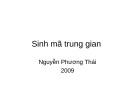 Bài giảng Chương trình dịch: Bài giảng 8 - Nguyễn Phương Thái