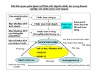 Bài giảng Quản trị và phát triển nguồn nhân lực theo phương pháp BSD (balanced scorecard deployment)