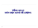 Bài giảng Tổng quan môn học Kinh tế lượng