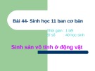 Bài giảng Bài 44 - Sinh học 11 ban cơ bản: Sinh sản vô tính ở động vật