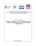 Báo cáo chuyên đề: Đánh giá lĩnh vực y tế của Việt Nam sau 5 năm gia nhập WTO và các khuyến nghị chính sách