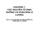 Bài giảng Chương 7: Các nguyên tố dinh dưỡng và phân bón vi lượng