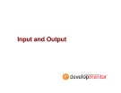 Input and Output