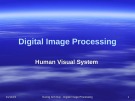 Digital Image Processing: Human Visual System - Duong Anh Duc