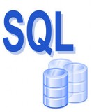 Tổng quan về ngôn ngữ SQL