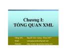 Bài giảng Chương 1: Tổng quan XML - Nguyễn Đức Cương