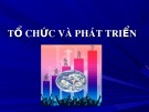 Bài giảng Tổ chức và phát triển