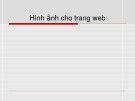 Bài giảng Hình ảnh cho trang web