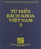 Bách khoa Việt Nam - Từ điển (Tập 3): Phần 2