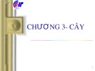 Bài giảng Cấu trúc dữ liệu - Chương 3: Cây