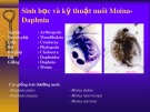 Bài giảng Sinh học và kỹ thuật nuôi Moina-Daphnia